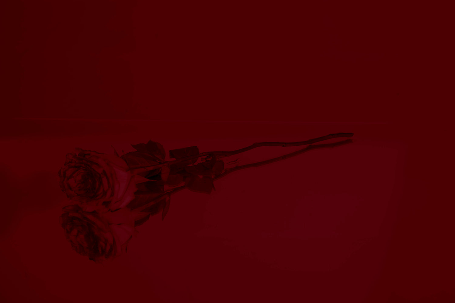 DECADENCE SUPERFICIAL