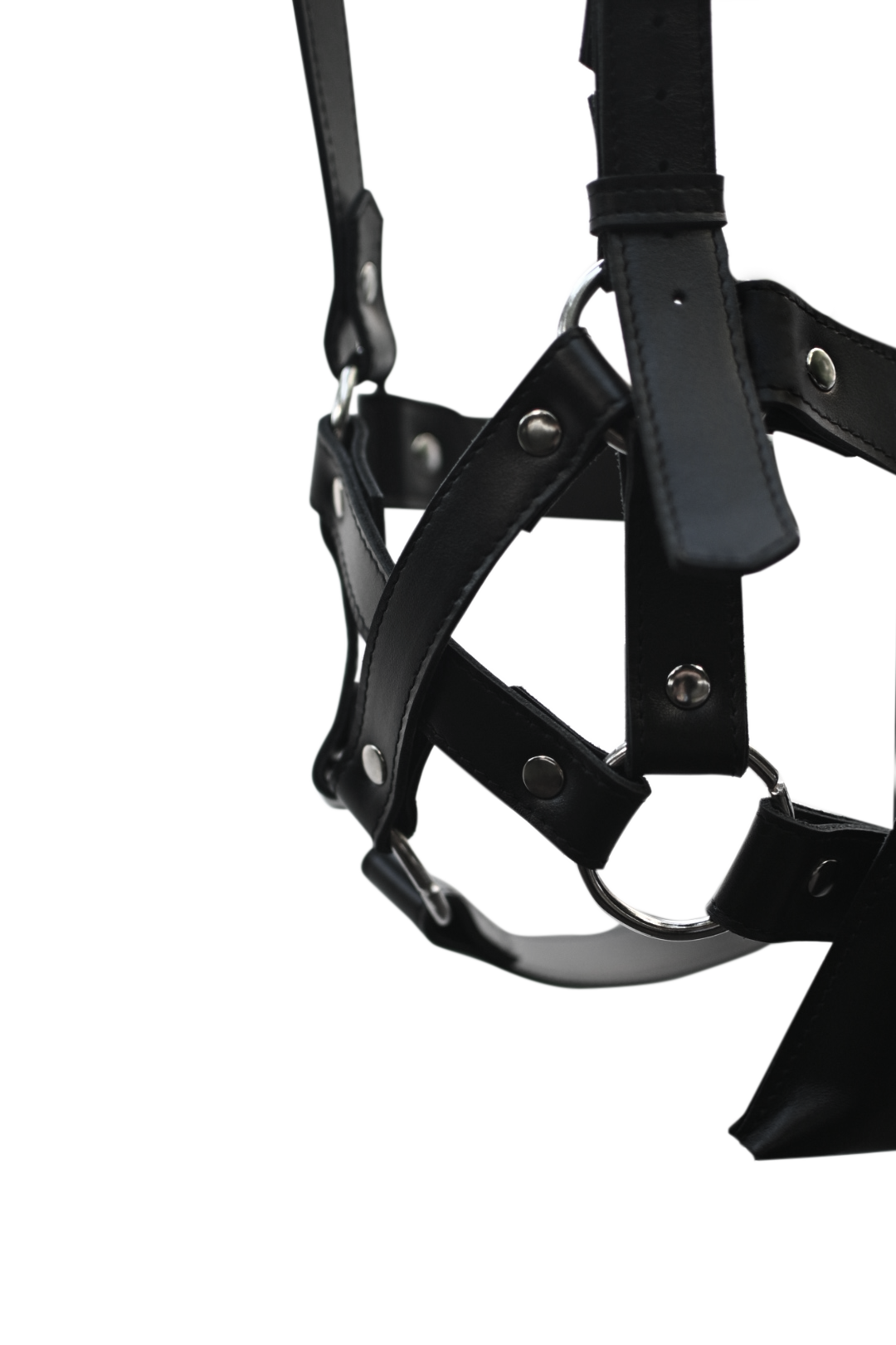 SUPERFICIAL AREYOUSUPERFICIAL THEHARNESS LEATHER HARNESS