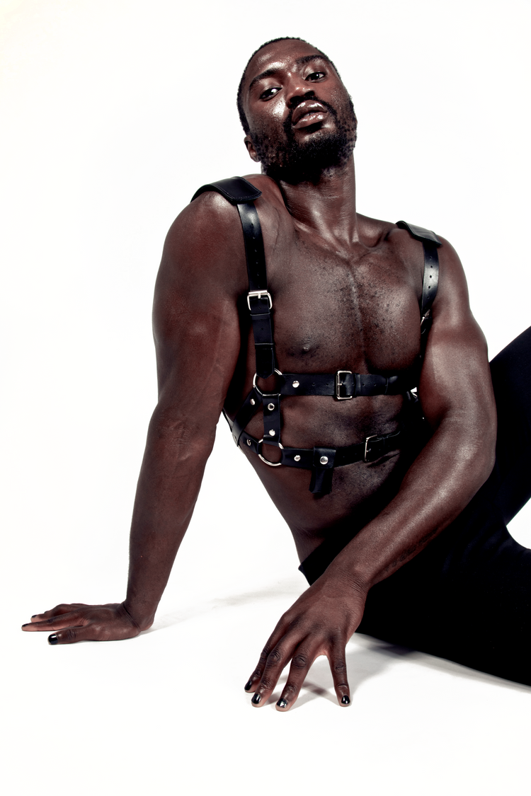 SUPERFICIAL AREYOUSUPERFICIAL THEHARNESS LEATHER HARNESS